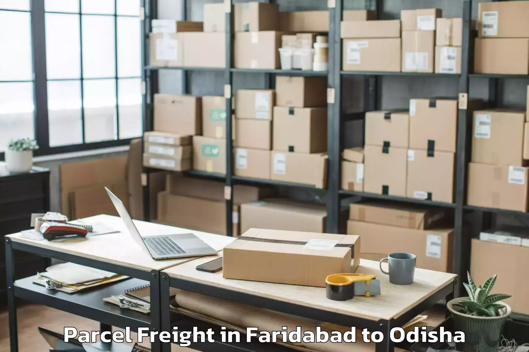 Efficient Faridabad to Paradip Garh Parcel Freight